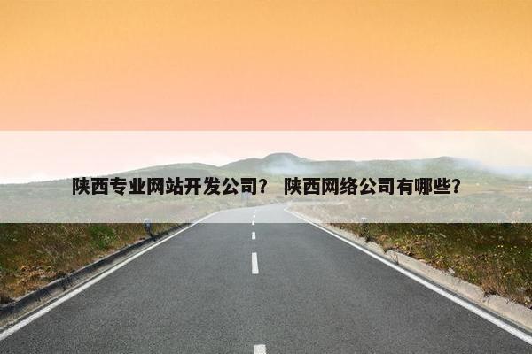陕西专业网站开发公司？ 陕西网络公司有哪些？