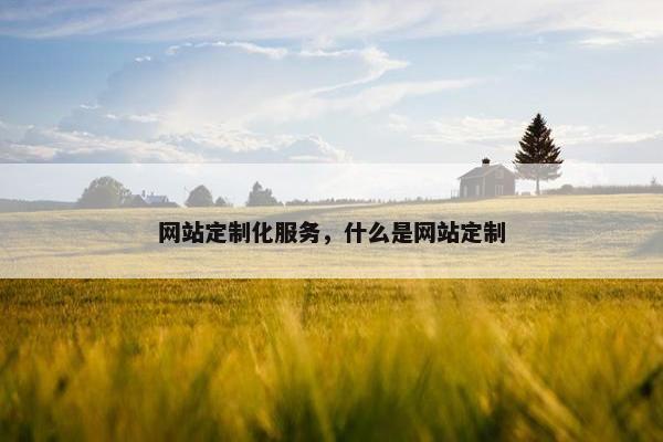 网站定制化服务，什么是网站定制