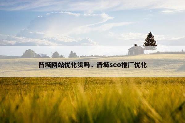 晋城网站优化贵吗，晋城seo推广优化
