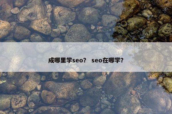 成哪里学seo？ seo在哪学？