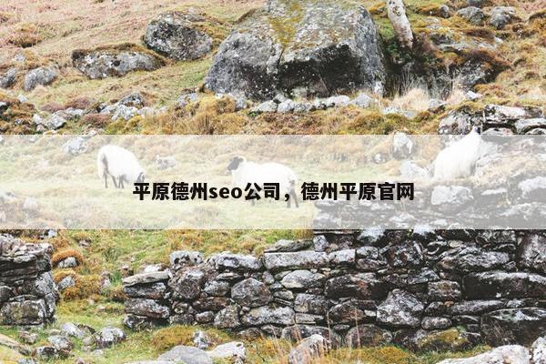 平原德州seo公司，德州平原官网