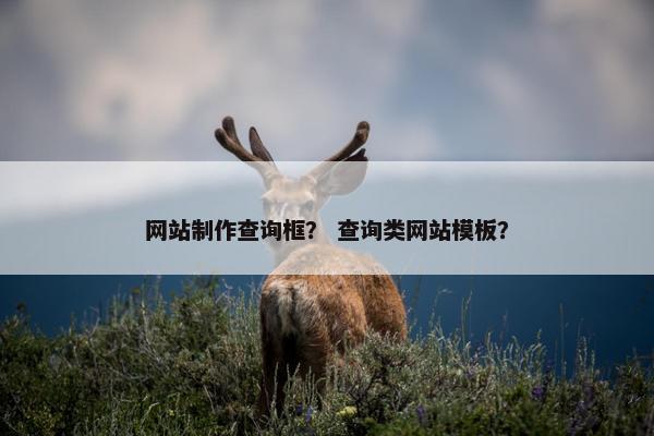 网站制作查询框？ 查询类网站模板？
