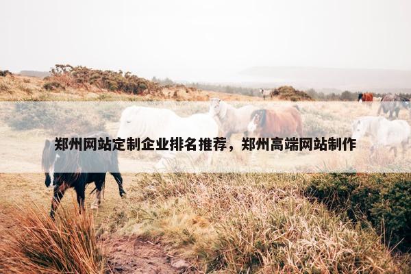 郑州网站定制企业排名推荐，郑州高端网站制作