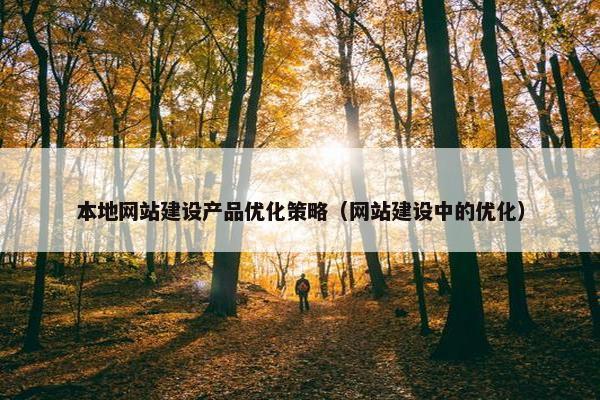 本地网站建设产品优化策略（网站建设中的优化）