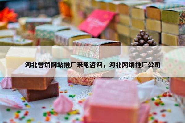 河北营销网站推广来电咨询，河北网络推广公司