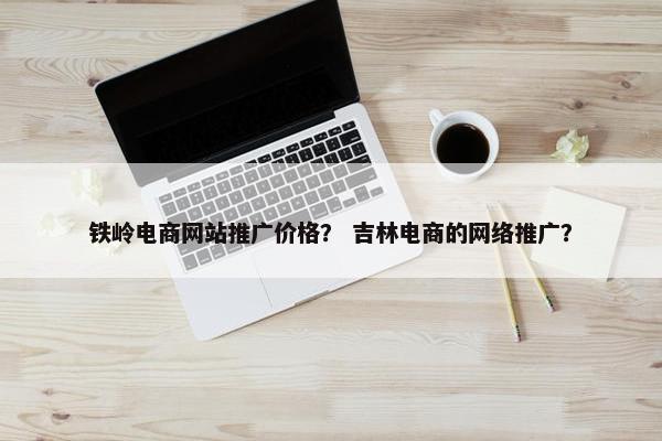 铁岭电商网站推广价格？ 吉林电商的网络推广？