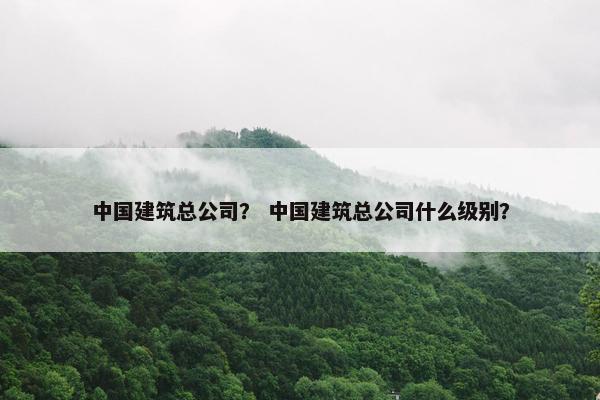 中国建筑总公司？ 中国建筑总公司什么级别？
