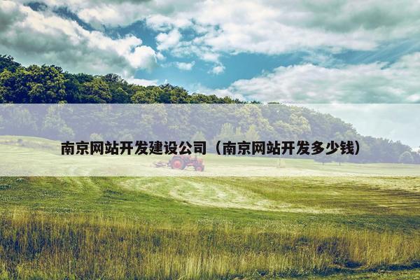 南京网站开发建设公司（南京网站开发多少钱）