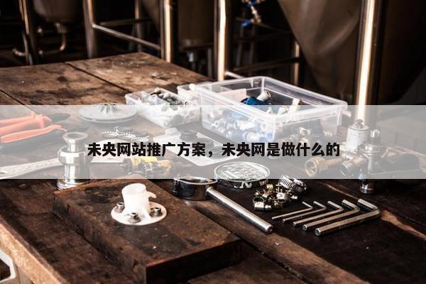 未央网站推广方案，未央网是做什么的