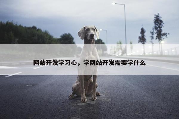 网站开发学习心，学网站开发需要学什么