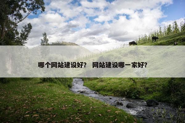 哪个网站建设好？ 网站建设哪一家好？