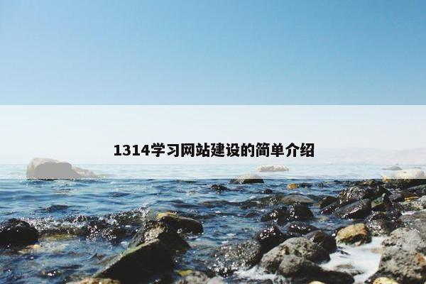 1314学习网站建设的简单介绍