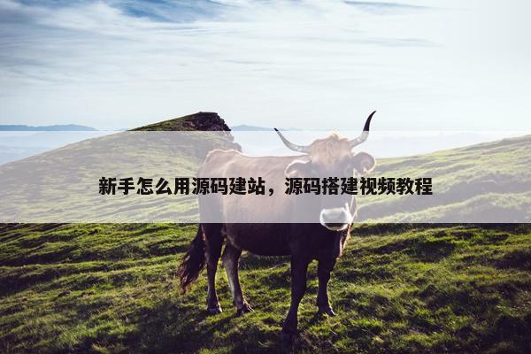新手怎么用源码建站,源码搭建视频教程 新手怎么用源码建站,源码搭建视频教程