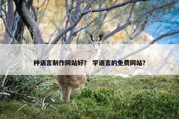 种语言制作网站好？ 学语言的免费网站？