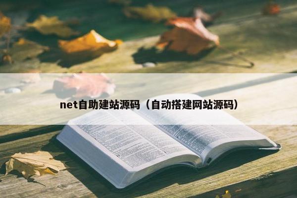 net自助建站源码（自动搭建网站源码）