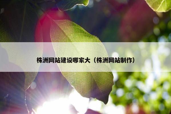 株洲网站建设哪家大（株洲网站制作）