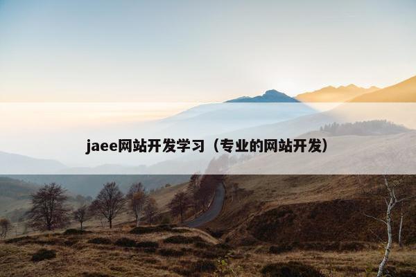 jaee网站开发学习（专业的网站开发）
