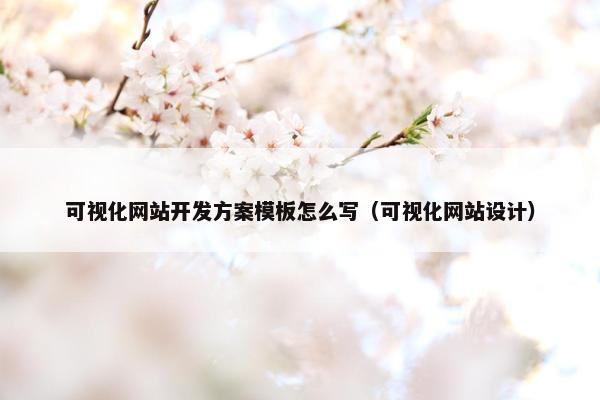 可视化网站开发方案模板怎么写（可视化网站设计）