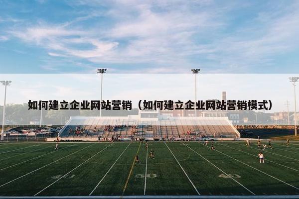 如何建立企业网站营销（如何建立企业网站营销模式）