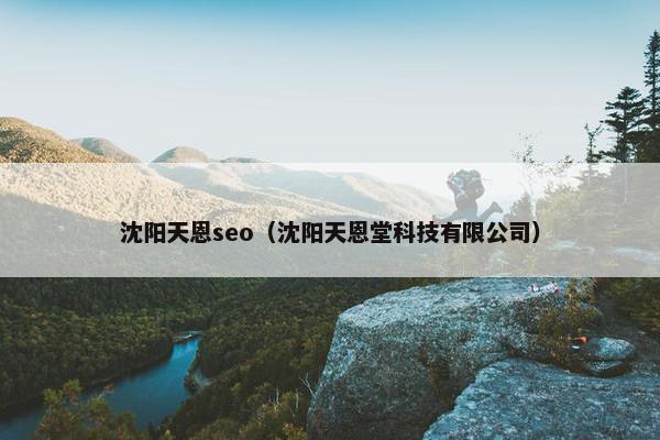 沈阳天恩seo（沈阳天恩堂科技有限公司）