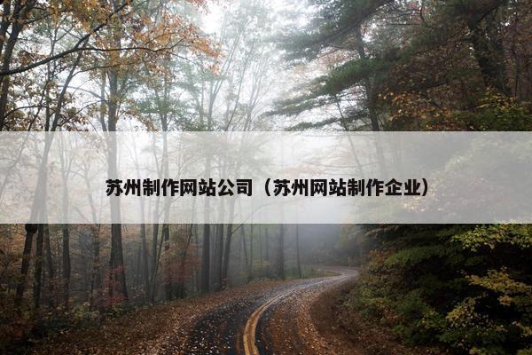 苏州制作网站公司（苏州网站制作企业）