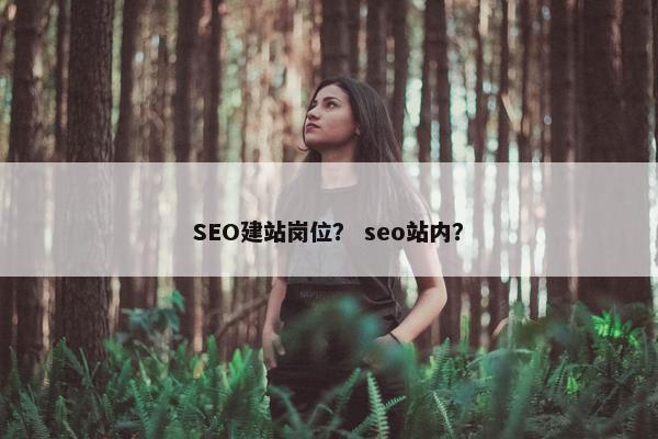 SEO建站岗位？ seo站内？