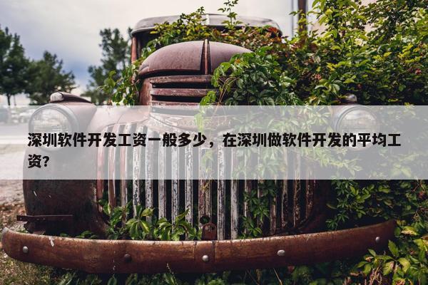 深圳软件开发工资一般多少，在深圳做软件开发的平均工资?