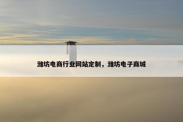 潍坊电商行业网站定制，潍坊电子商城