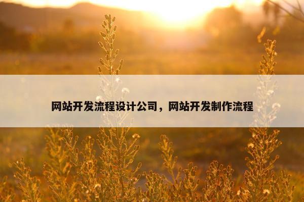 网站开发流程设计公司，网站开发制作流程