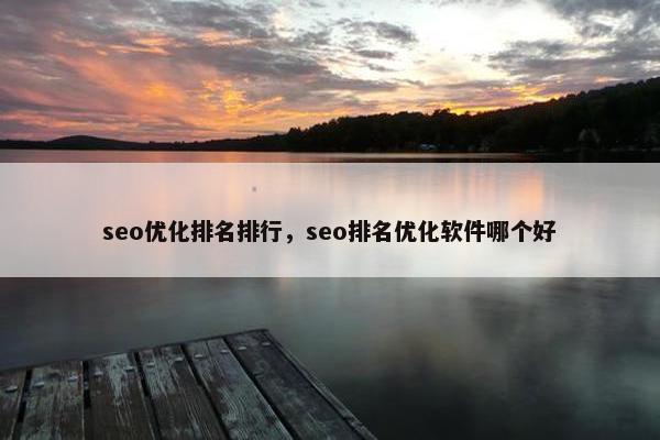 seo优化排名排行，seo排名优化软件哪个好