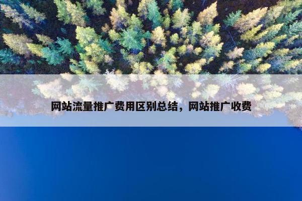 网站流量推广费用区别总结，网站推广收费