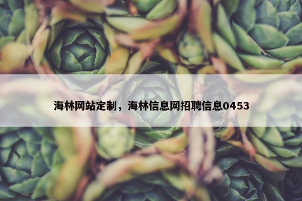 海林网站定制，海林信息网招聘信息0453