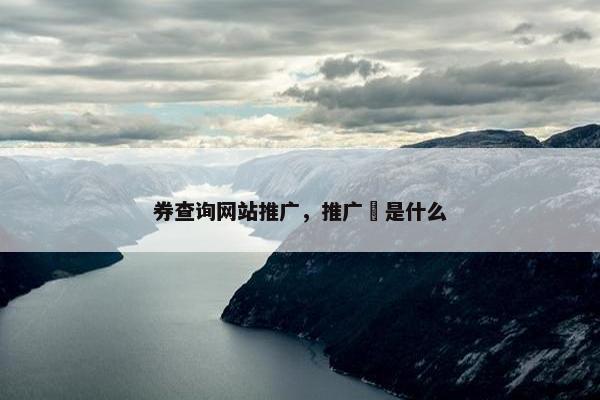 券查询网站推广，推广劵是什么