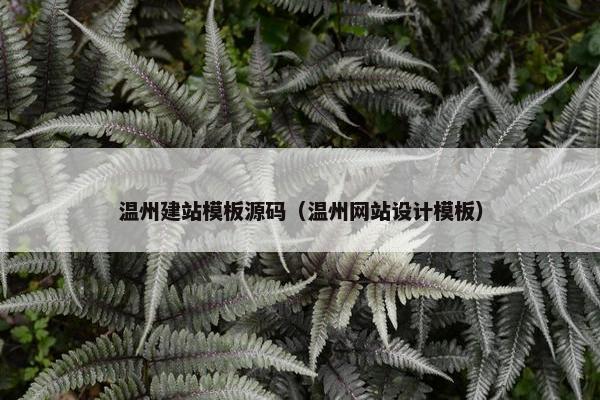 温州建站模板源码（温州网站设计模板）