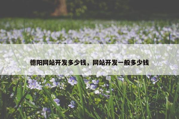 德阳网站开发多少钱，网站开发一般多少钱