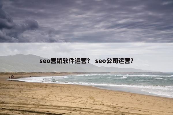 seo营销软件运营？ seo公司运营？