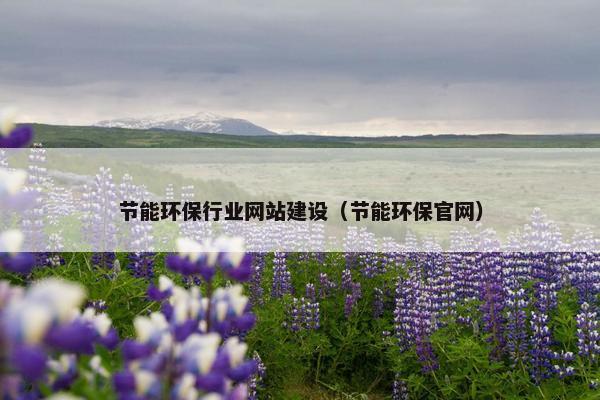 节能环保行业网站建设（节能环保官网）