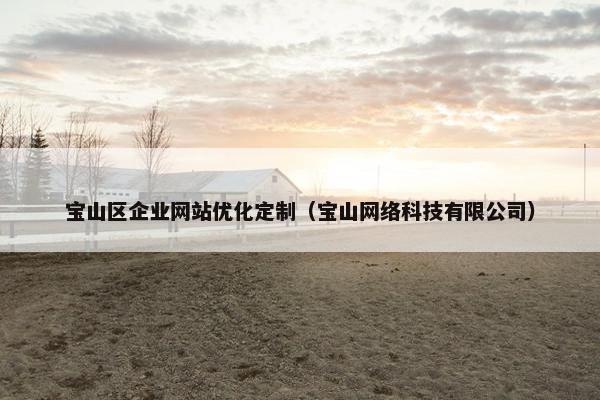 宝山区企业网站优化定制（宝山网络科技有限公司）