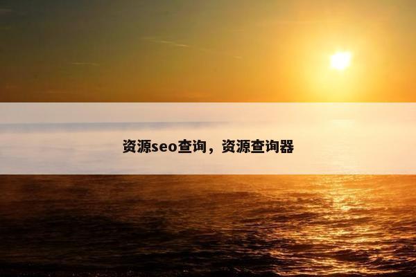资源seo查询，资源查询器