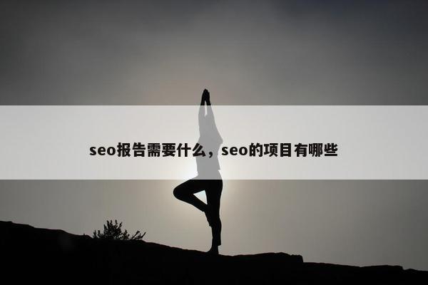 seo报告需要什么，seo的项目有哪些