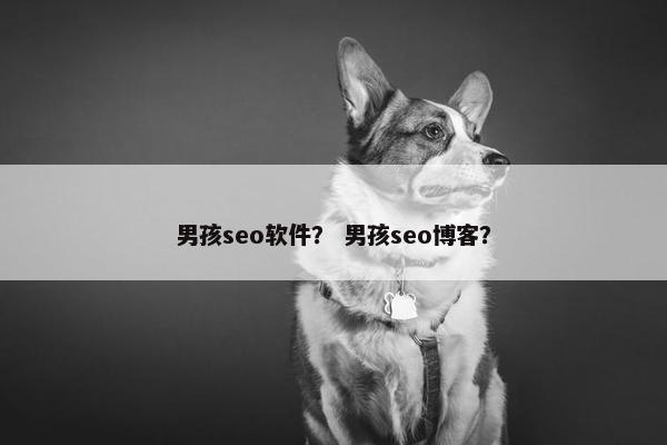男孩seo软件？ 男孩seo博客？
