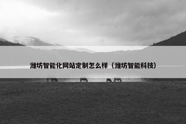 潍坊智能化网站定制怎么样（潍坊智能科技）