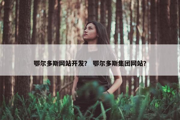 鄂尔多斯网站开发？ 鄂尔多斯集团网站？
