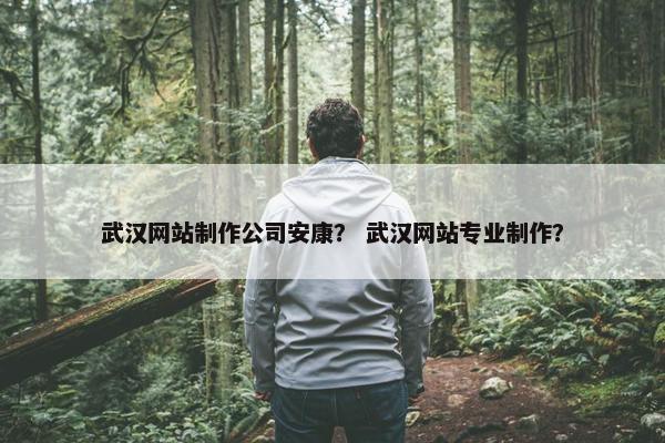 武汉网站制作公司安康？ 武汉网站专业制作？