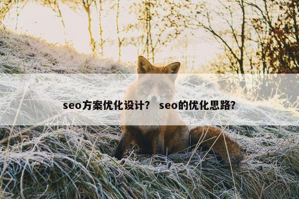 seo方案优化设计？ seo的优化思路？
