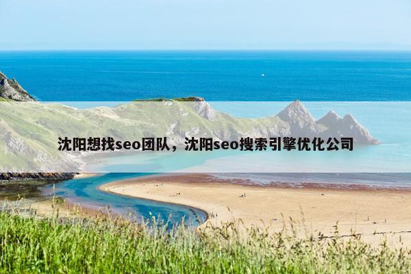 沈阳想找seo团队，沈阳seo搜索引擎优化公司