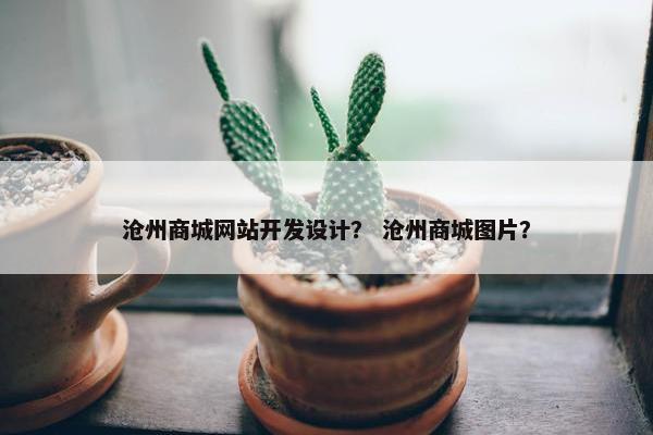 沧州商城网站开发设计？ 沧州商城图片？