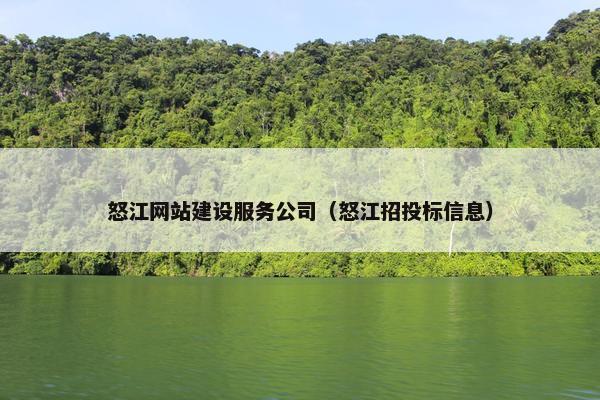怒江网站建设服务公司（怒江招投标信息）