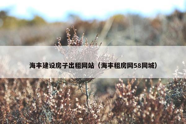 海丰建设房子出租网站（海丰租房网58同城）