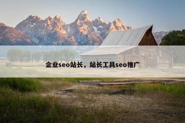 企业seo站长，站长工具seo推广